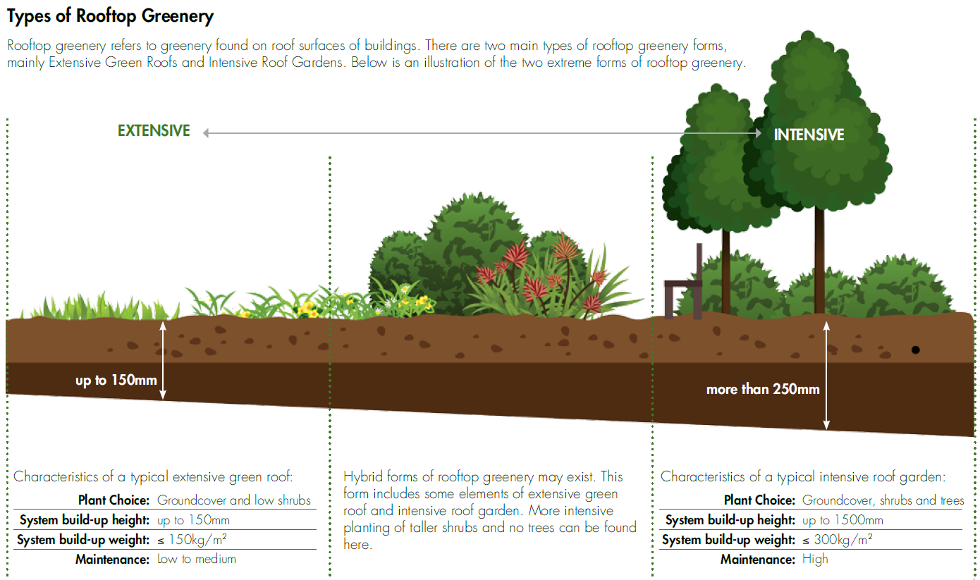 Illustration Of Intensive Green Roof Section Diagram